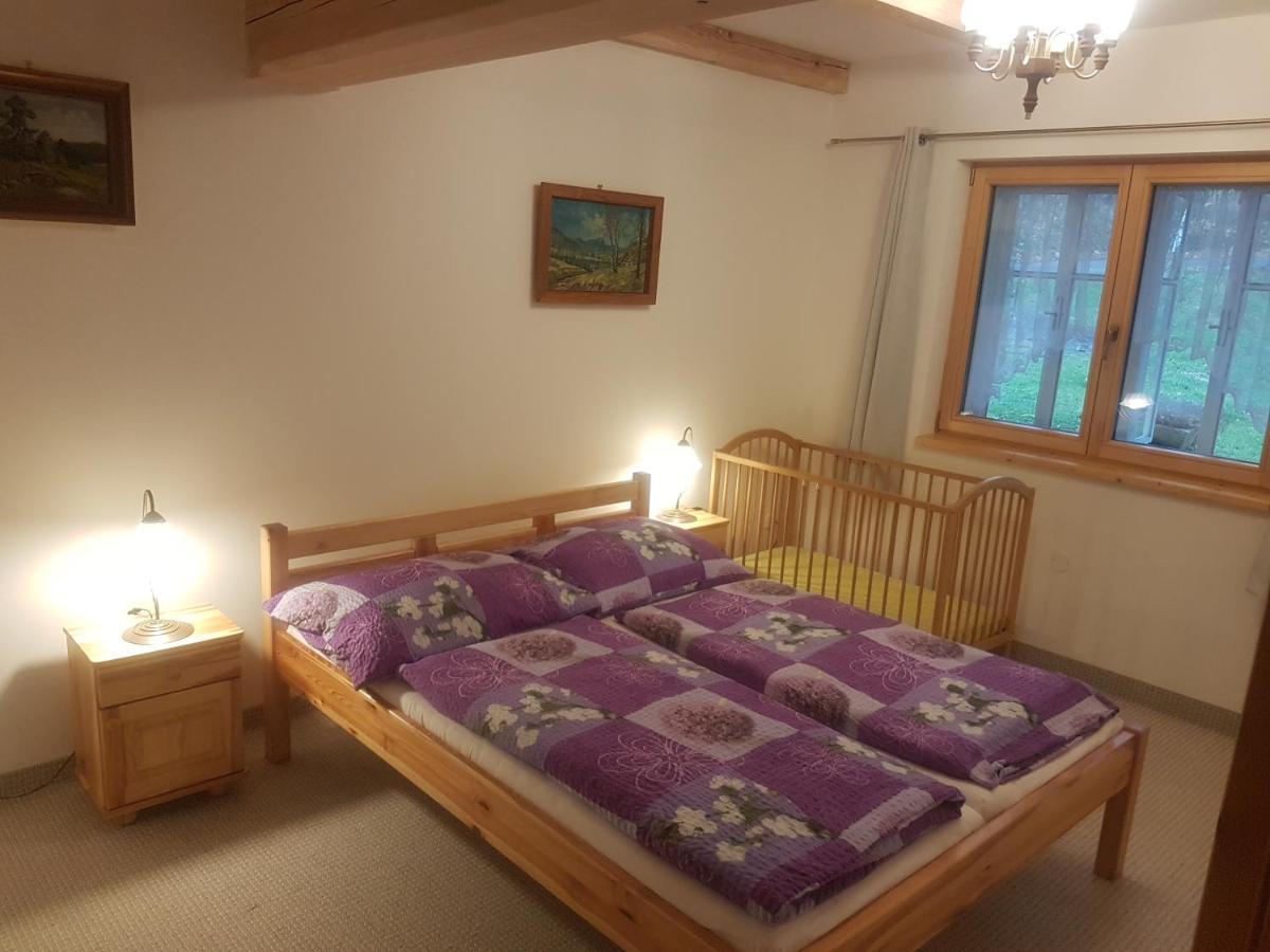 Byt Knezice U Vrchlabi Bagian luar foto